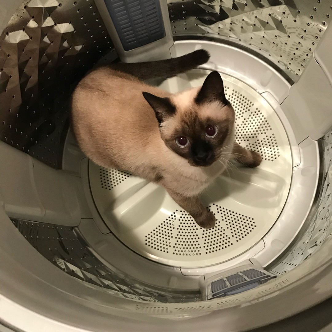 拠点