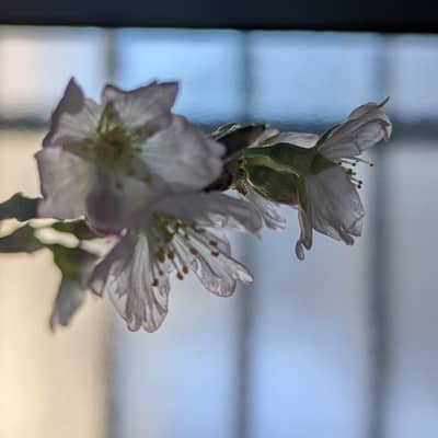 スマホカメラの星