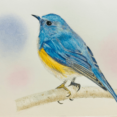 鉛筆画・色鉛筆画の星