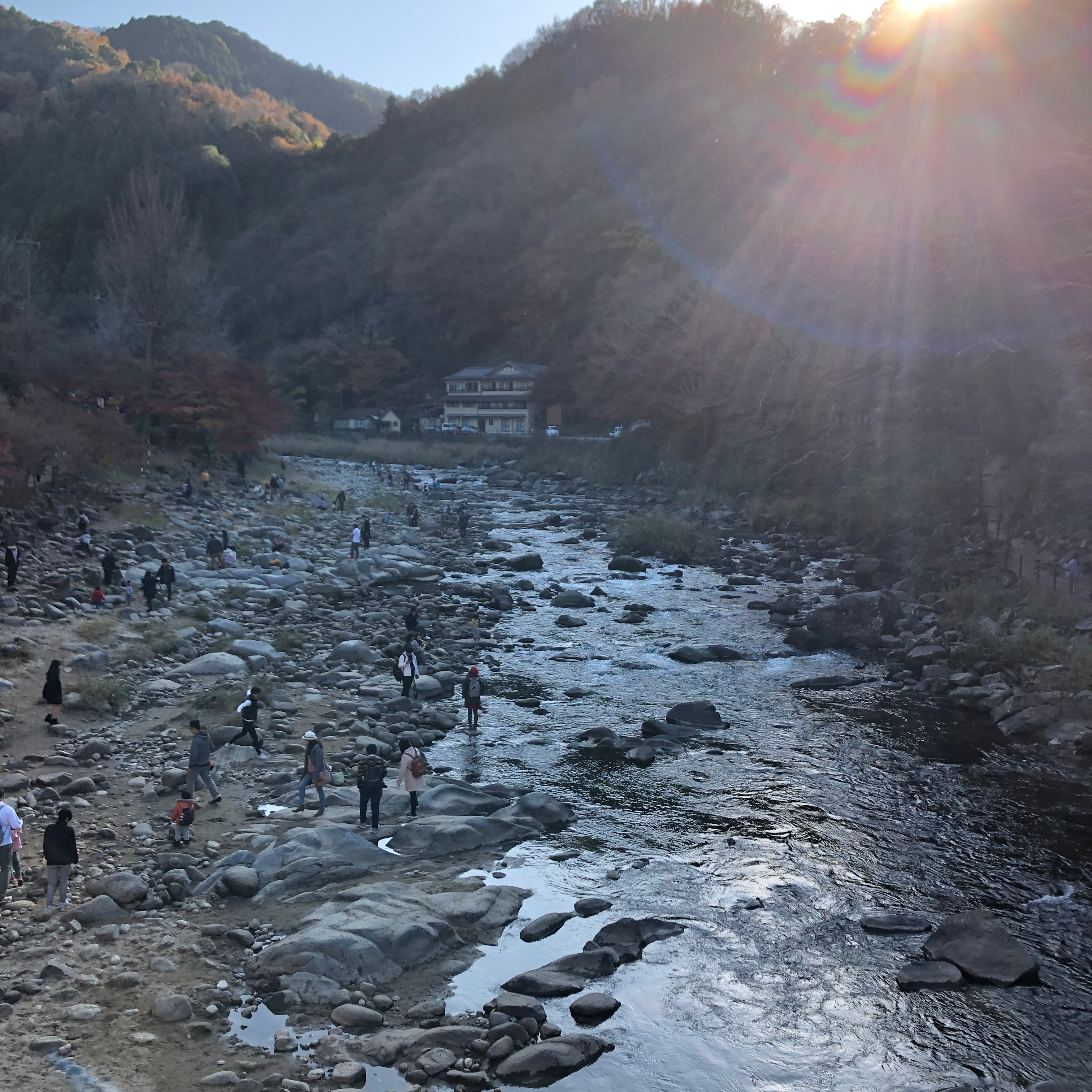 愛知の星