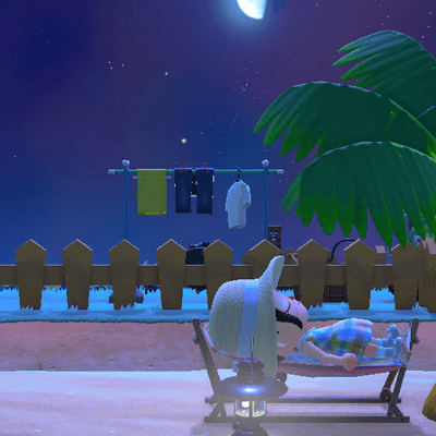 どう森写真展の星