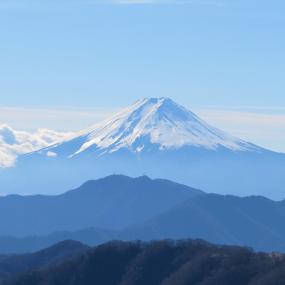 自然大好きっ子
