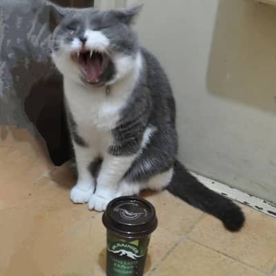 マウントレーニアの星