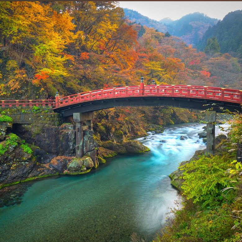 栃木県民の星