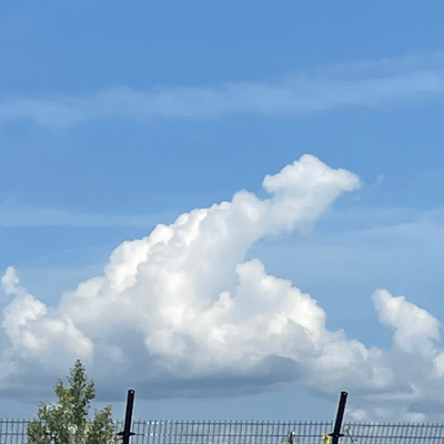 みんなはお友達の星