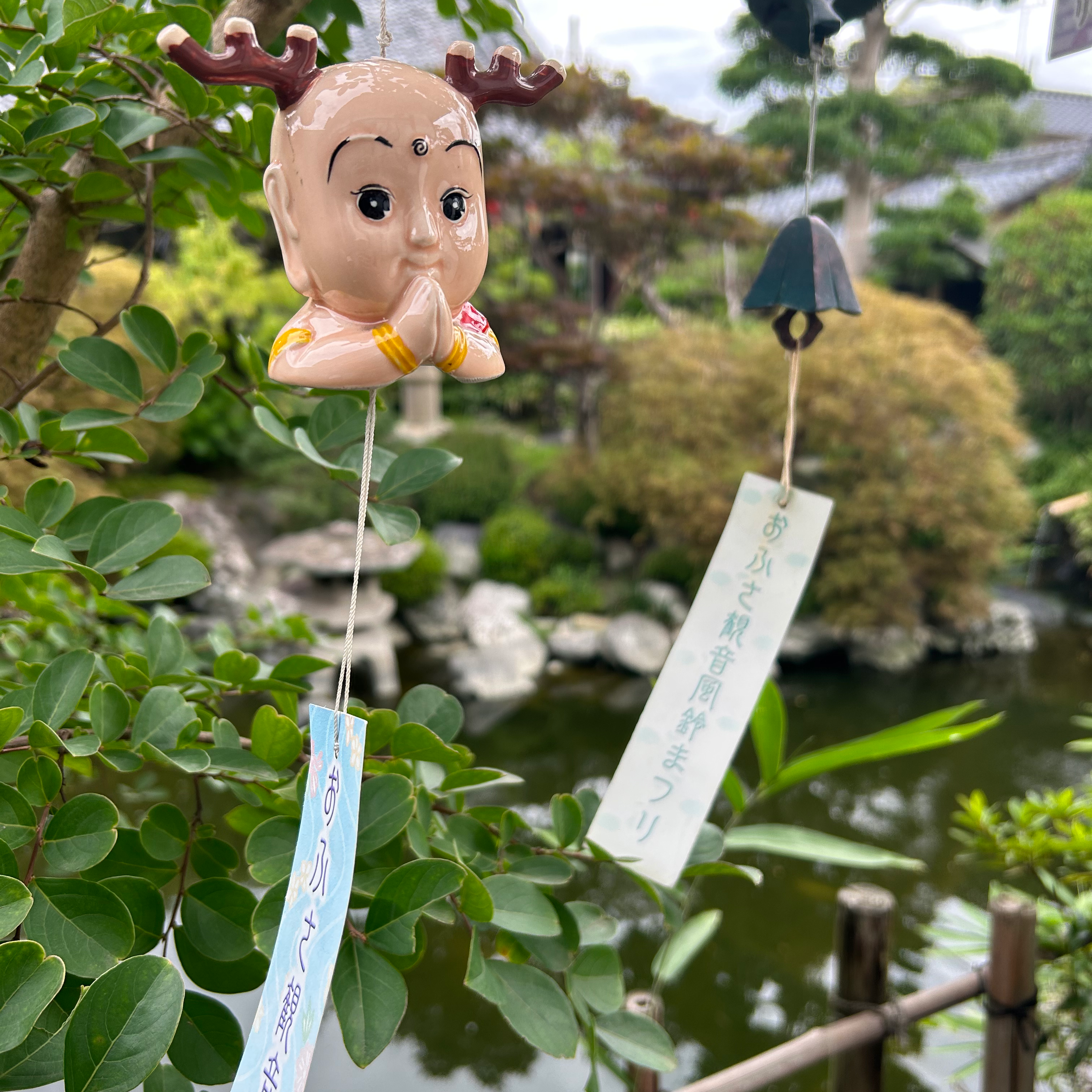 こんなとこ行ったの星
