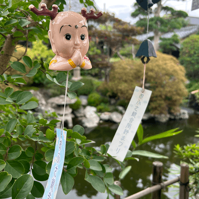 こんなとこ行ったの星