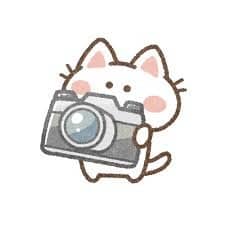 💐思い出の写真💐の星