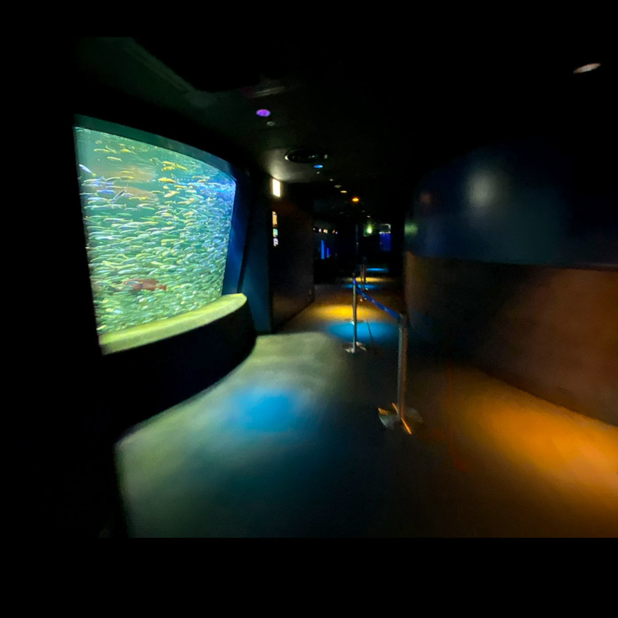 吹き渡る風の星