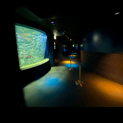 吹き渡る風の星