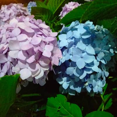 自分を大事に♡の星