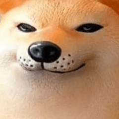 しばこ‼️の星