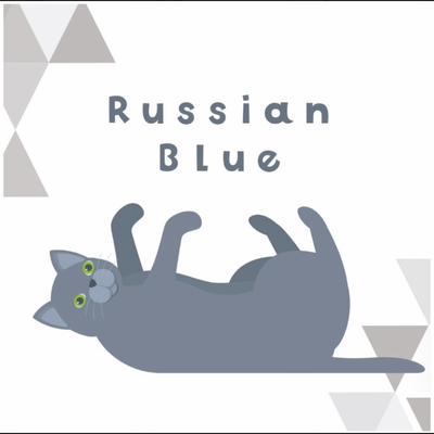 ロシアンブルーの星