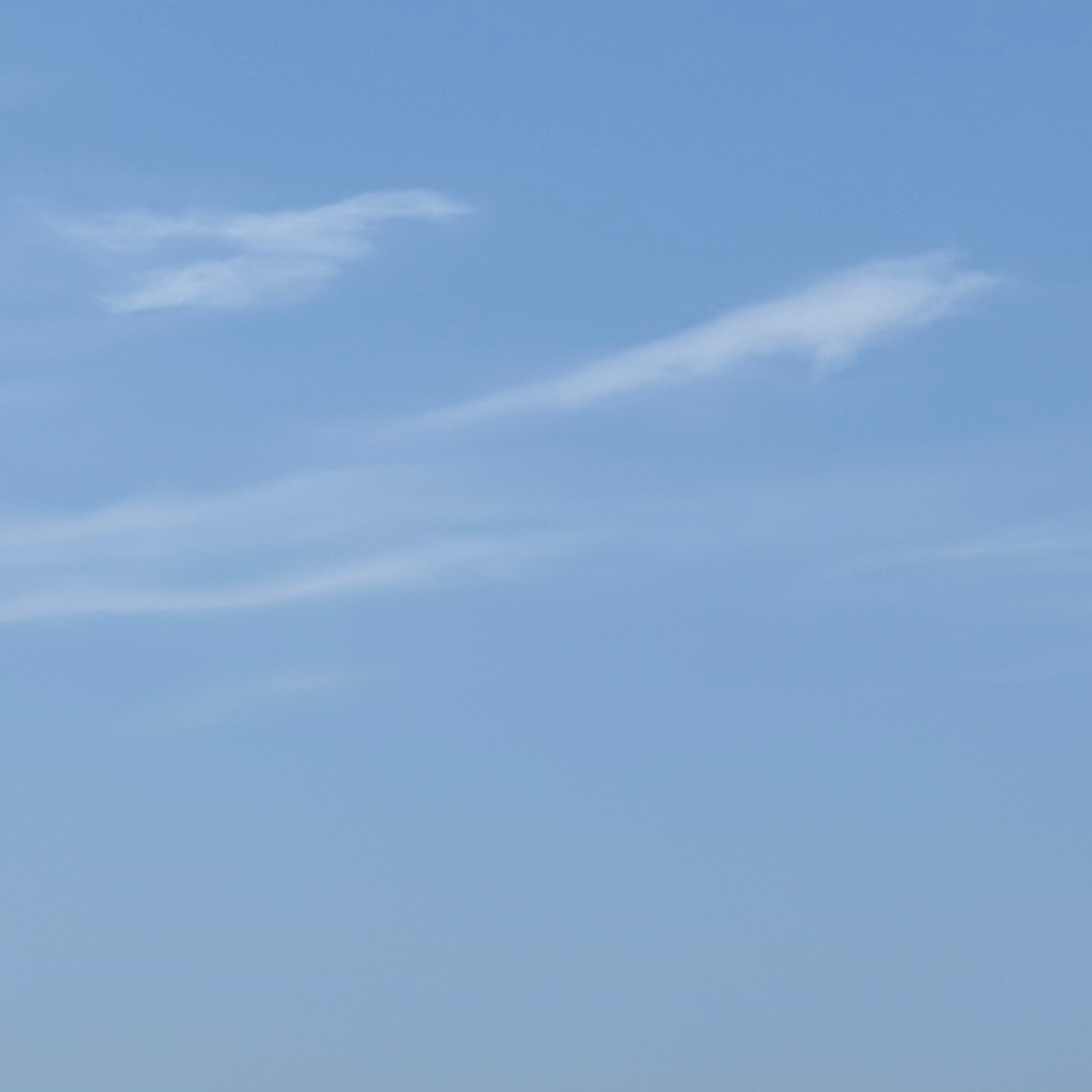 粒式会社OTBの星