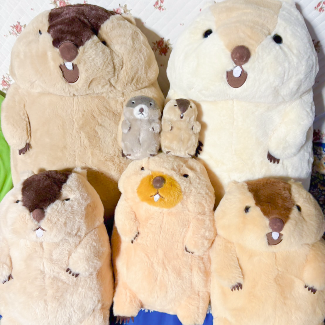 むめの家族の星