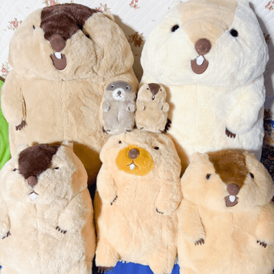 ããã®å®¶æã®æ