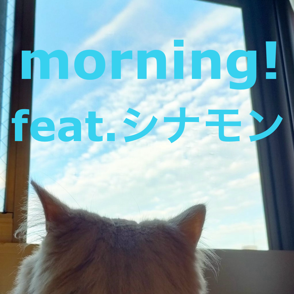  morning！