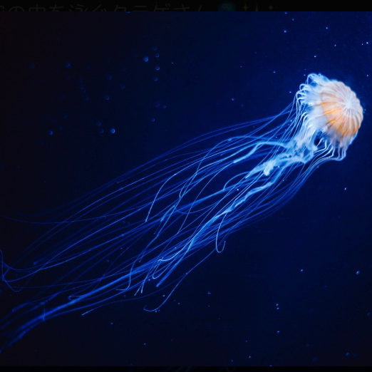 深夜のひとりごとの星