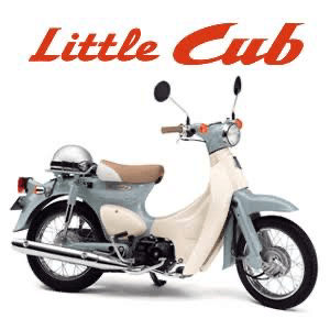 リトルカブの星