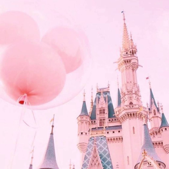 ディズニーの星
