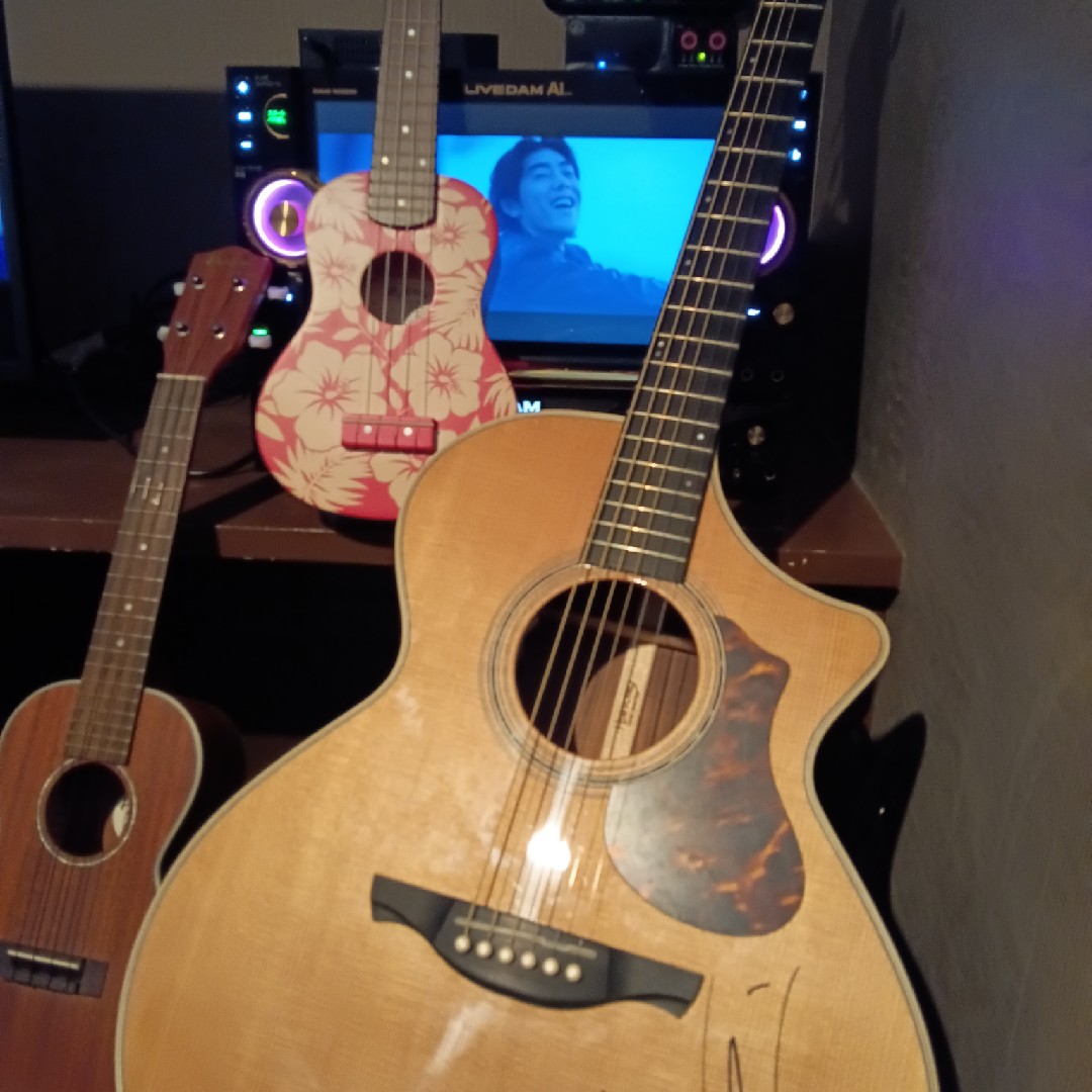 音楽を楽しむꀸ.⋆*の星