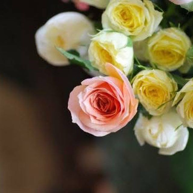 にっこりさんの星