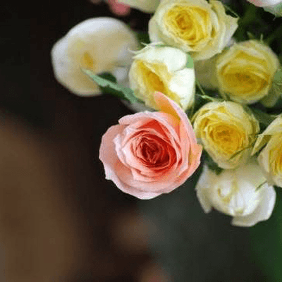 にっこりさんの星