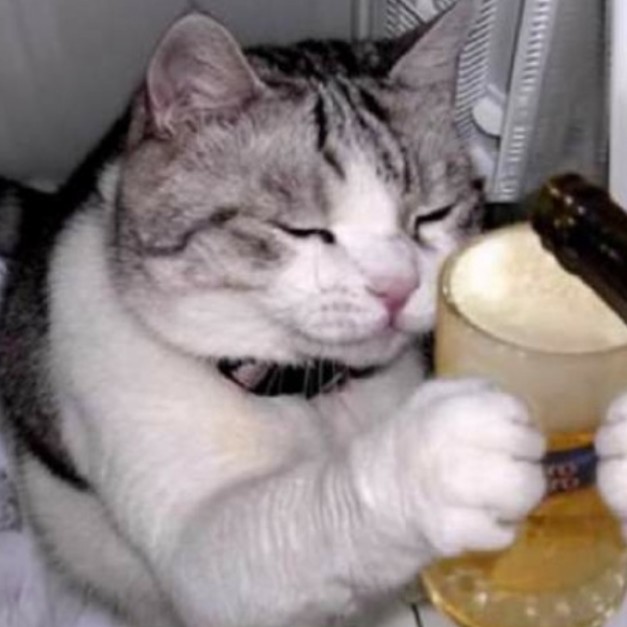 写真大喜利の星