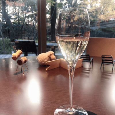 独り飲みを楽しむの星