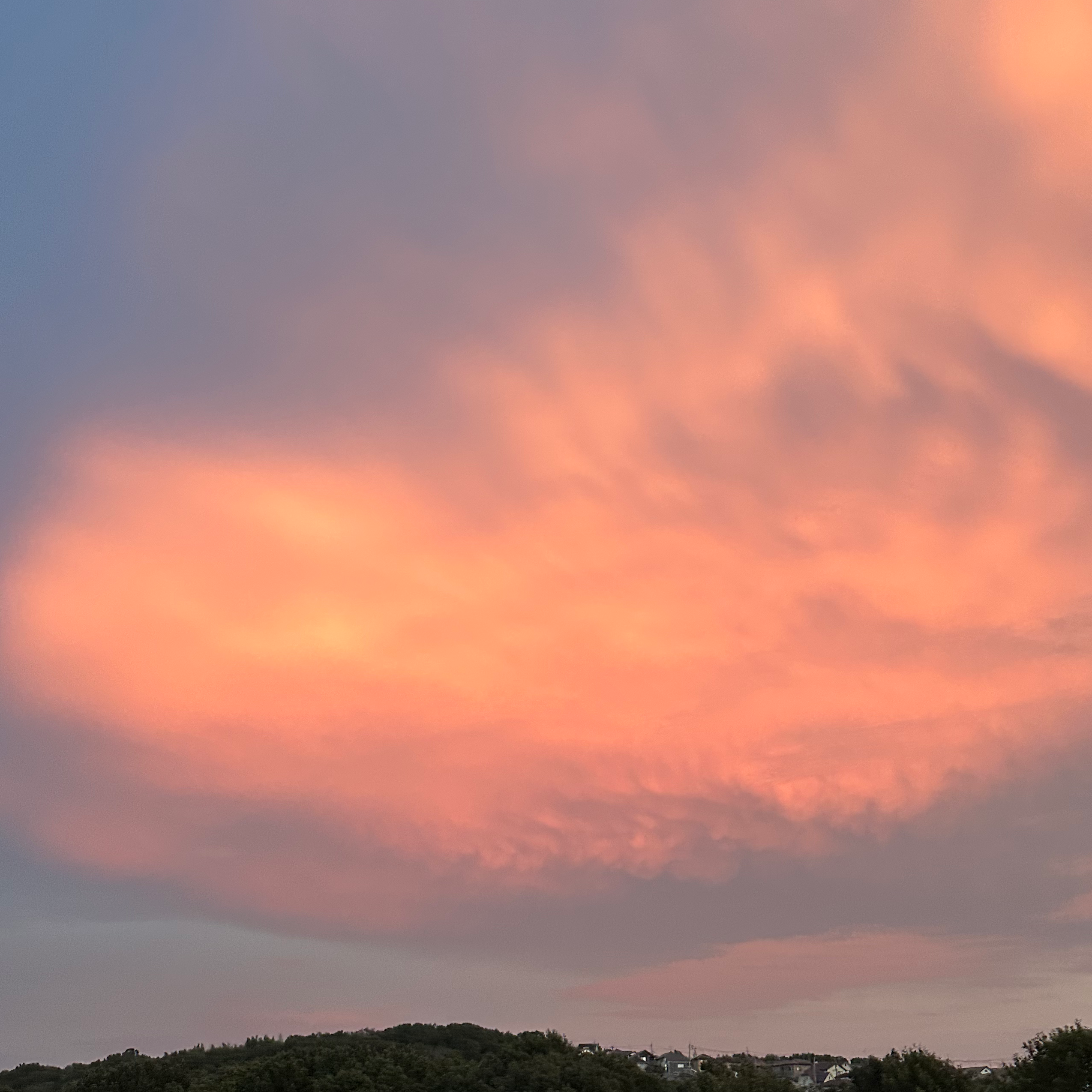 空の展覧会の星