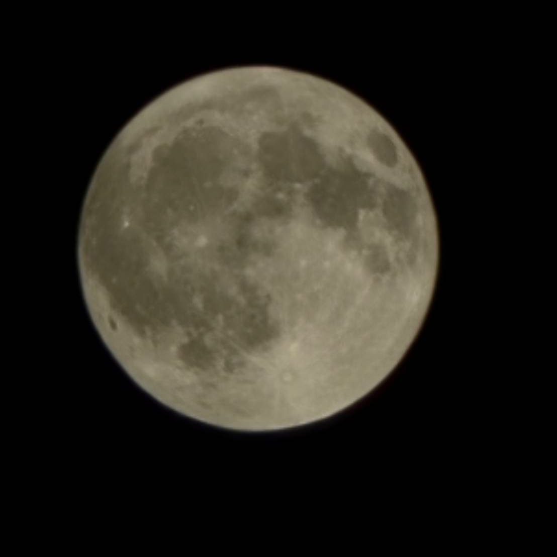 ポリアモリーの星