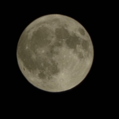 ポリアモリーの星