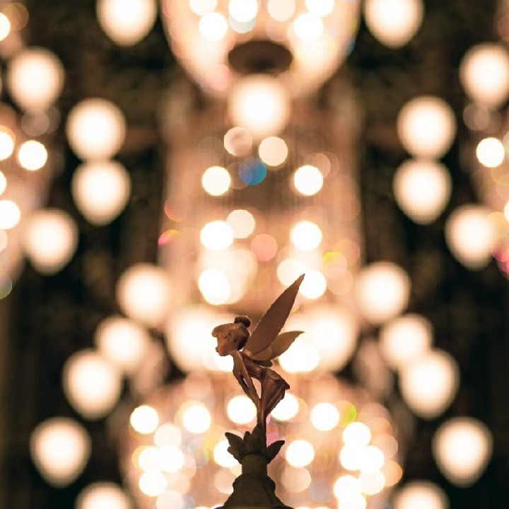 ディズニー大好き民の星