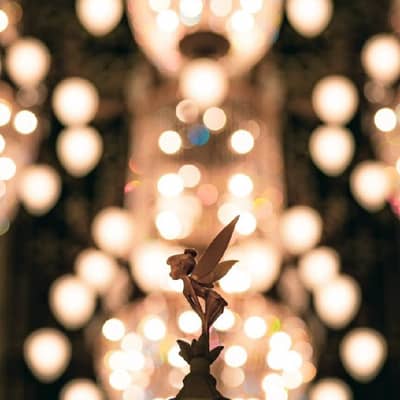 ディズニー大好き民の星