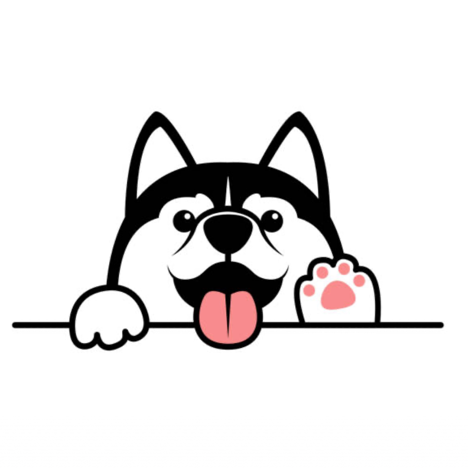 シベリアンハスキの星