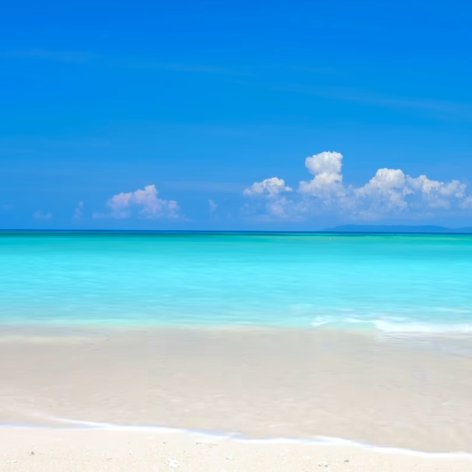 笑って生きていこの星