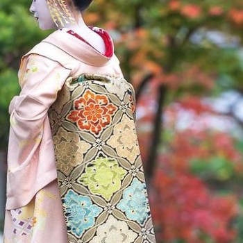 芸舞妓になりたい！！の星