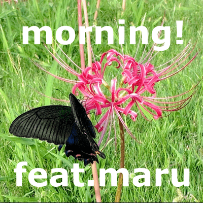  morning！