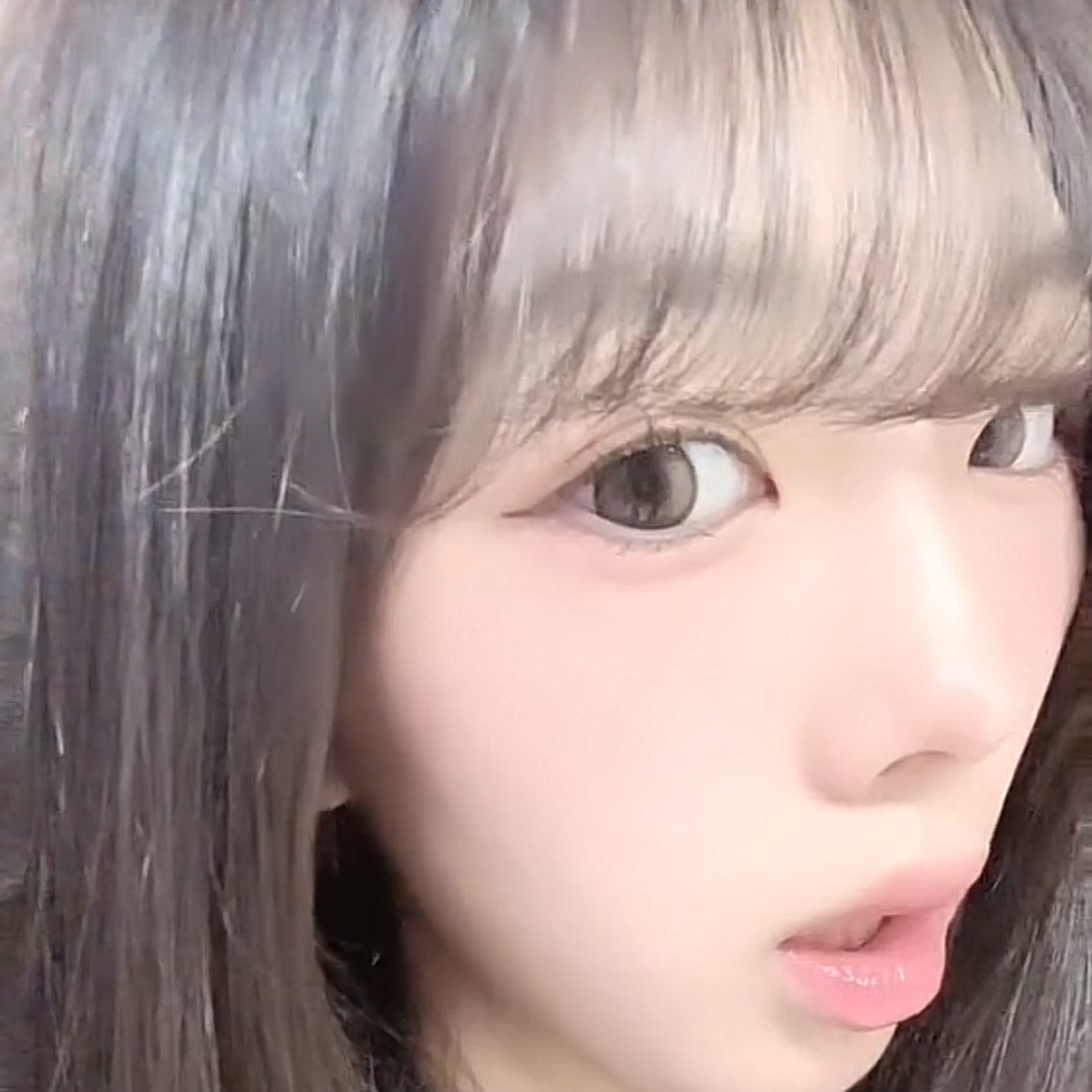 おこめにあえるの星