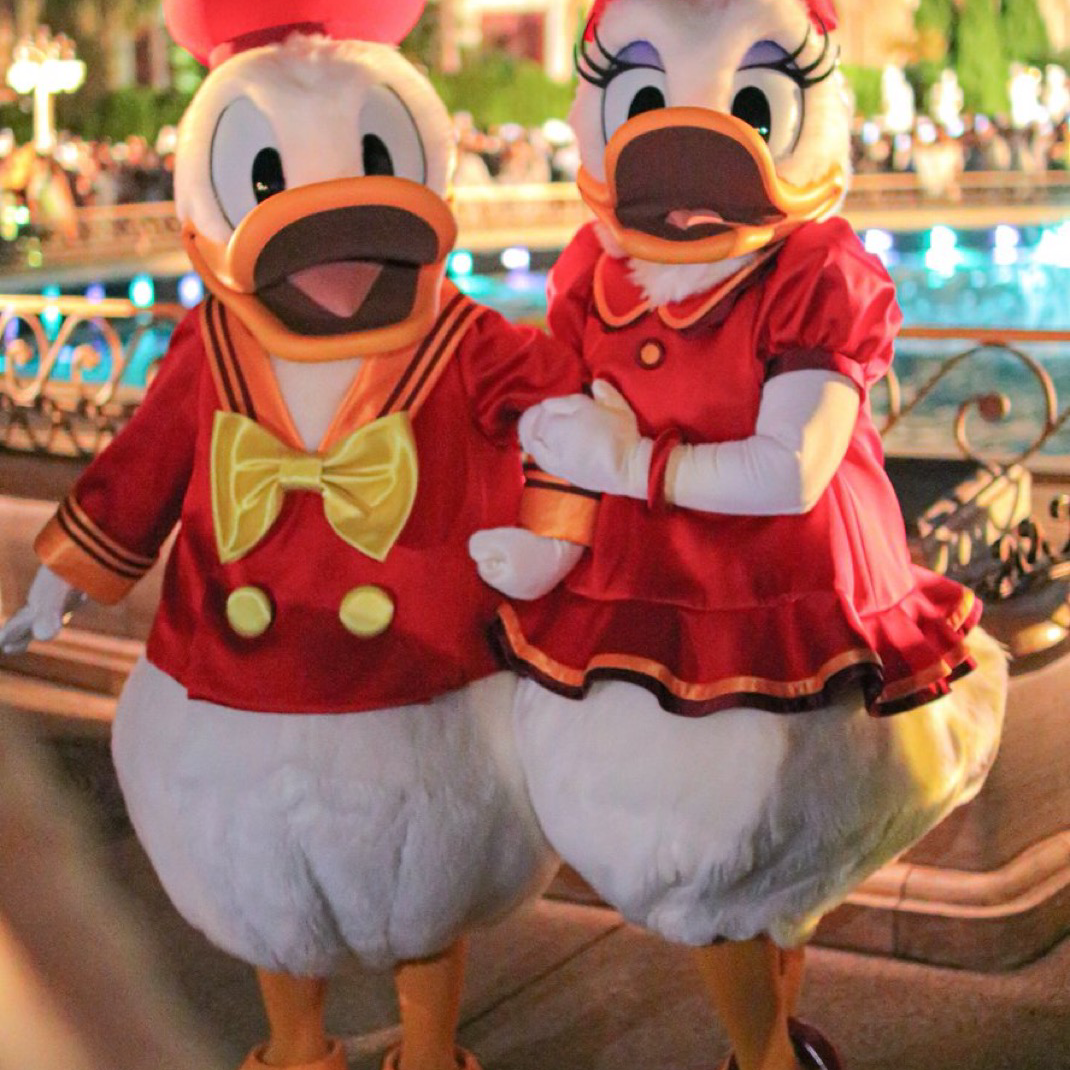 ディズニースキーの星