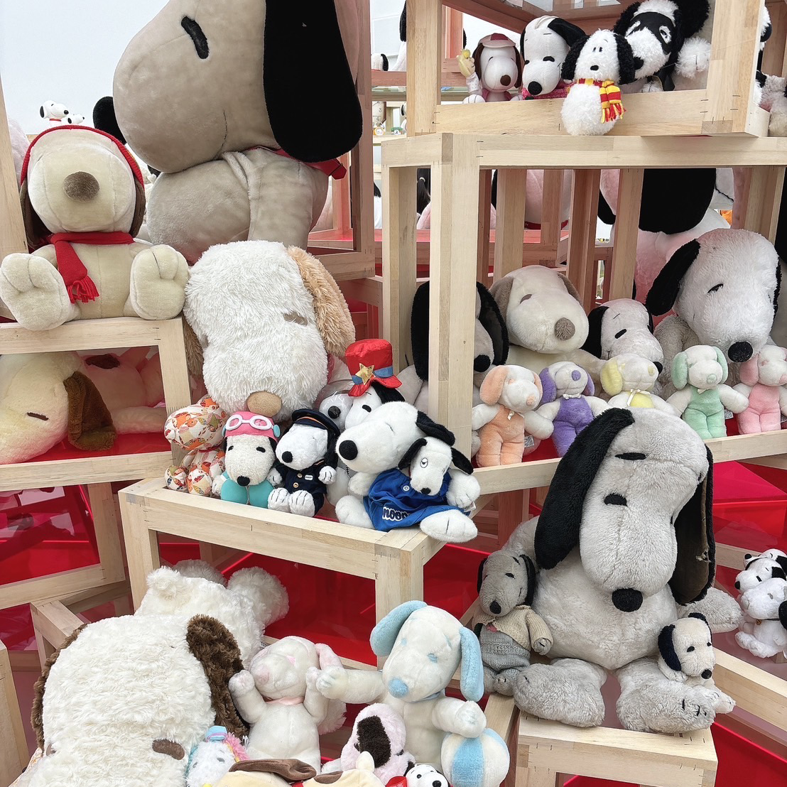 スヌーピーの星