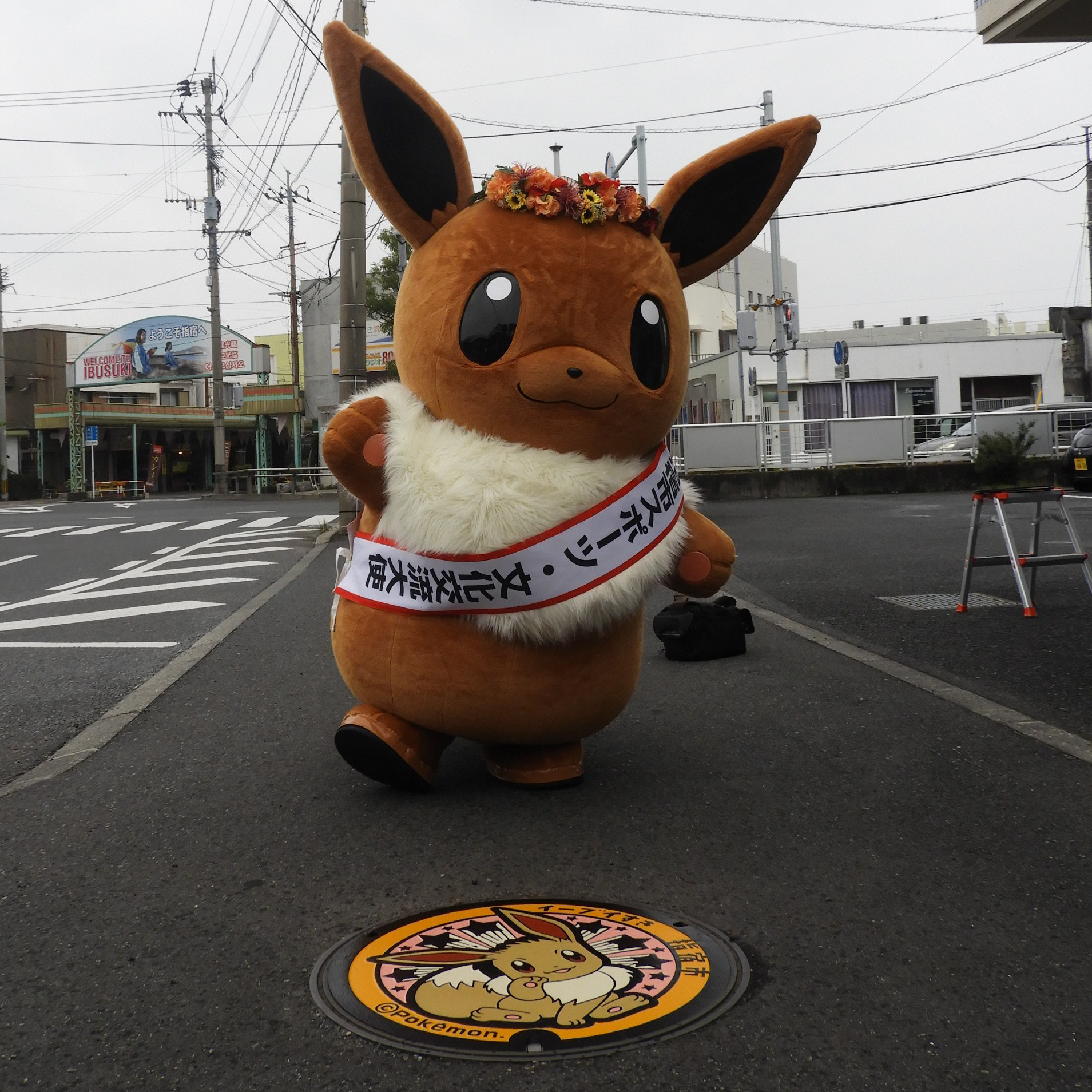 イーブイ好き指宿の星