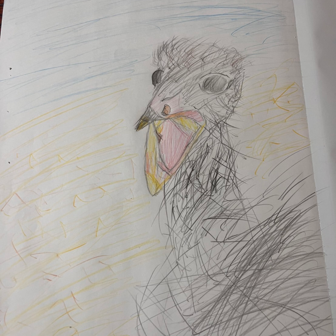 みんなの絵日記の星