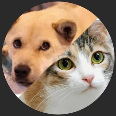 雑種犬/雑種猫の星