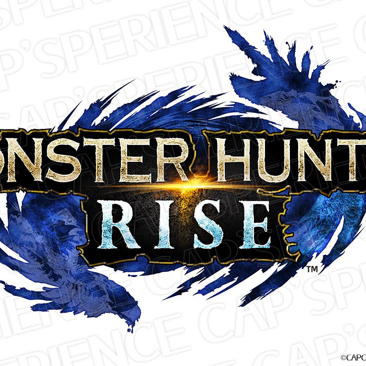 モンハンライズの星