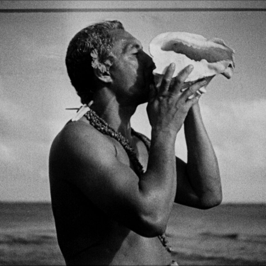 ドキュメンタリーの星