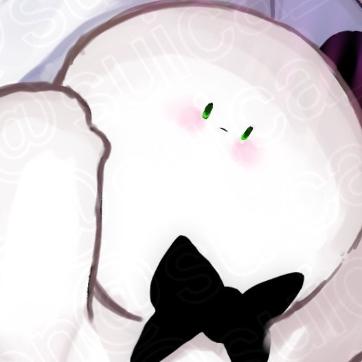 ぴくとはうすの星