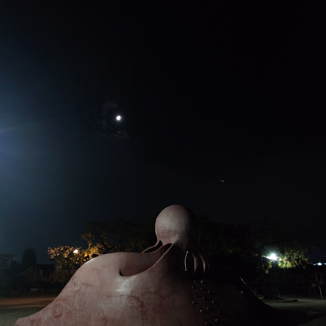 フィクションの星