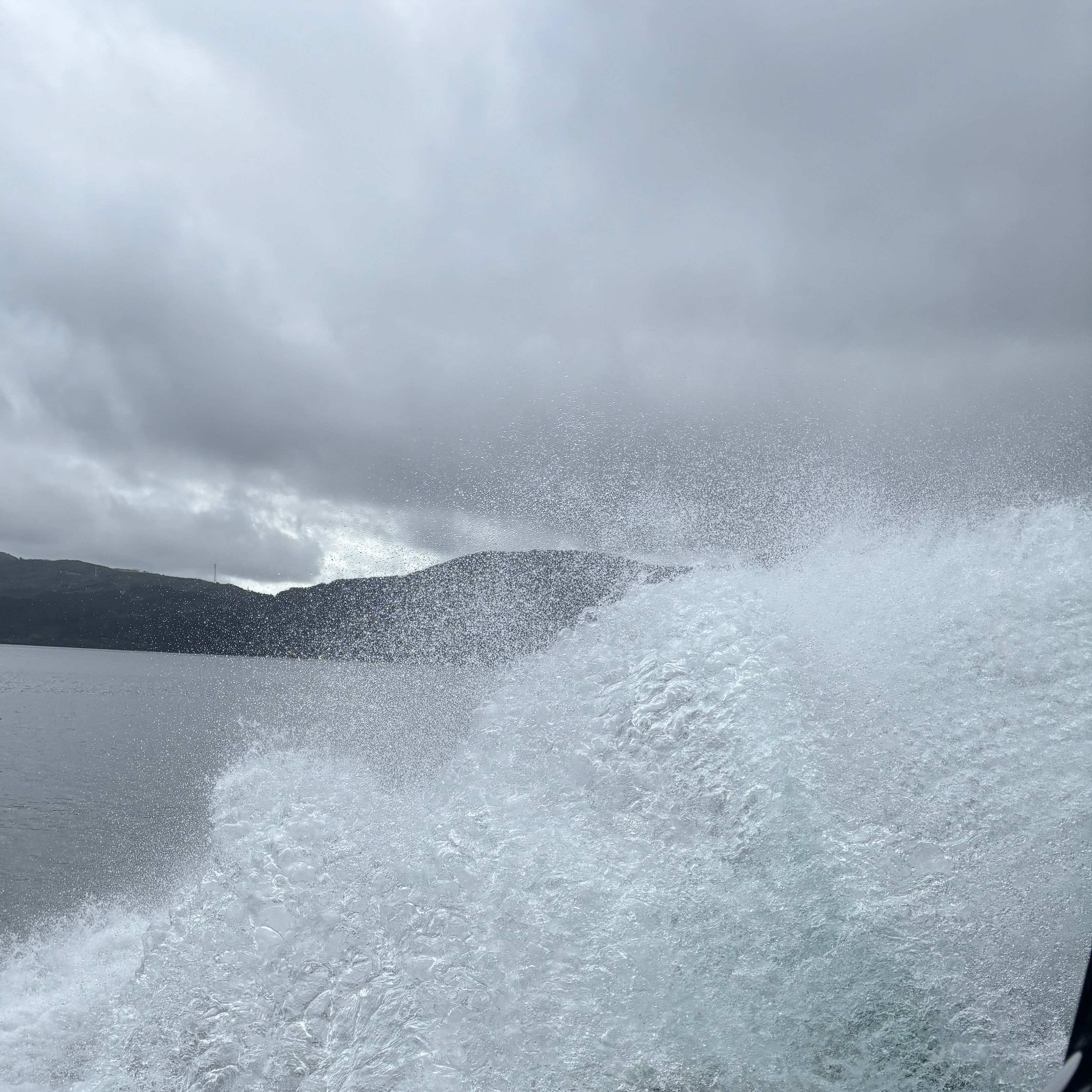 向日葵文声の星