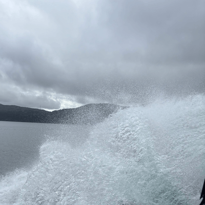 向日葵文声の星